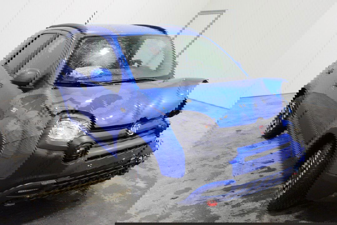 Fiat Panda Cross 1.0 Cross 2024