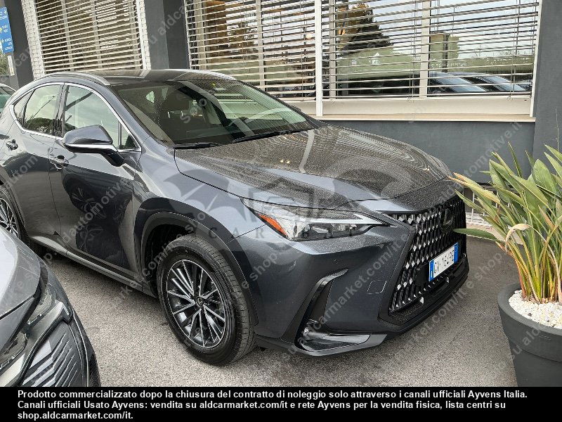 Lexus NX Business 2024