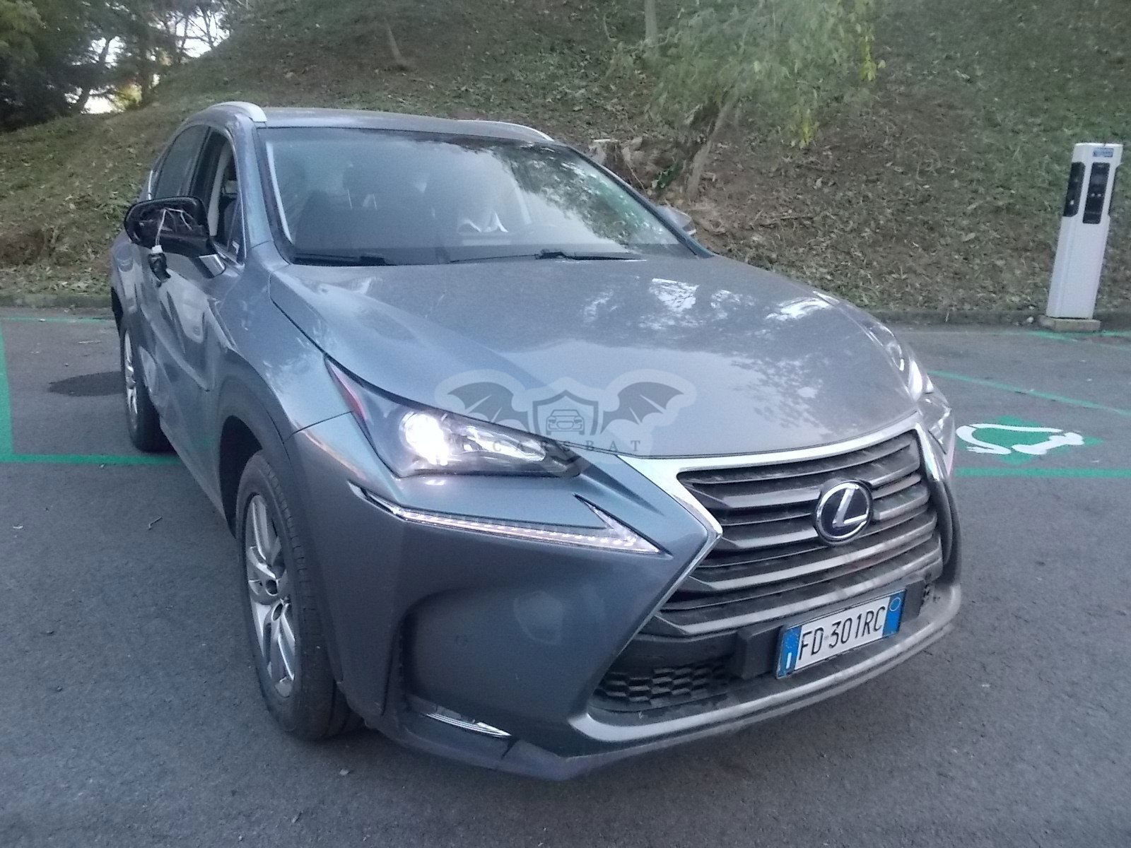 Lexus NX 300h Luxury 2017