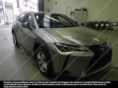 Lexus UX Business 2020