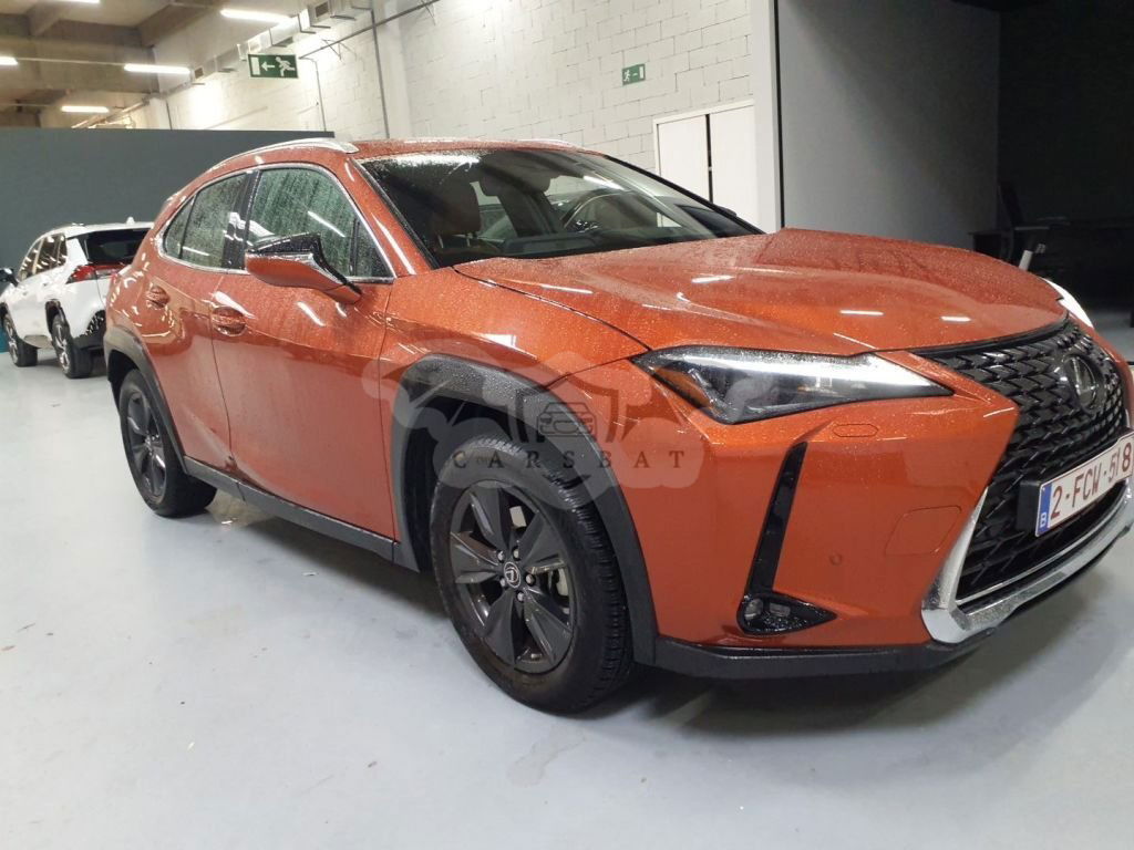 Lexus UX 250h Business 2024