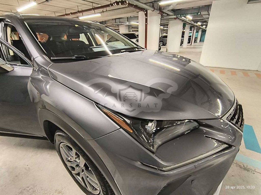 Lexus NX Business 2020