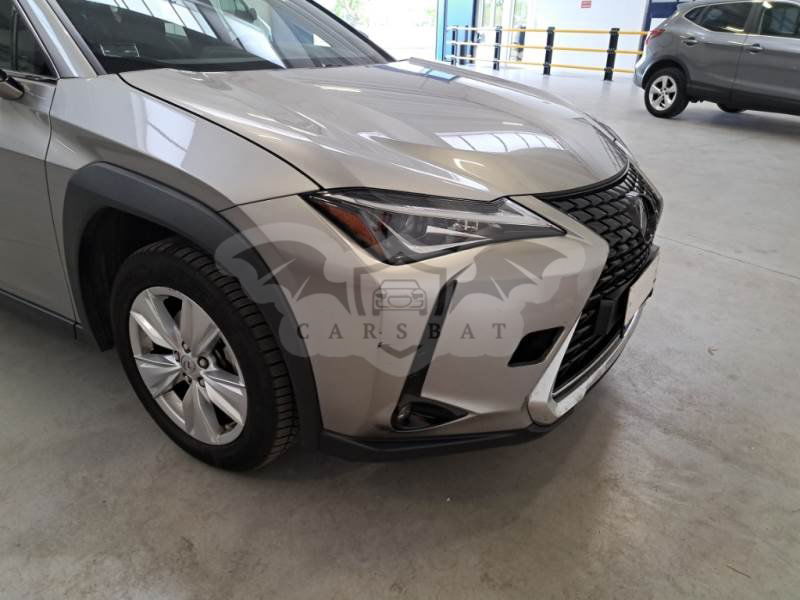 Lexus UX 250h Business 2020
