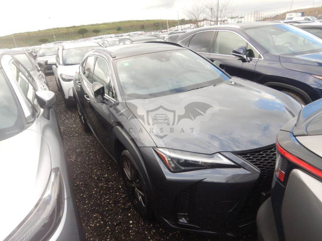 Lexus UX 250h 2024