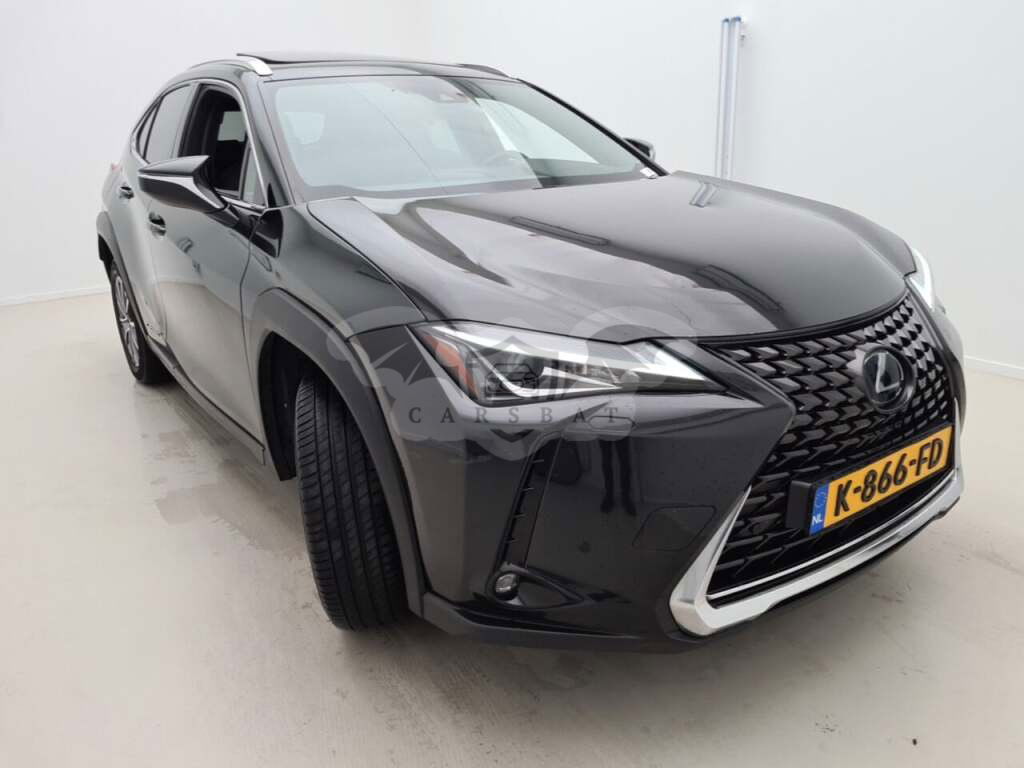 Lexus UX 300e Luxury 2020