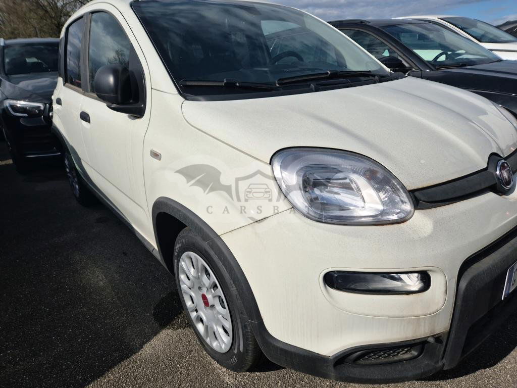Fiat Panda 1.0 2024
