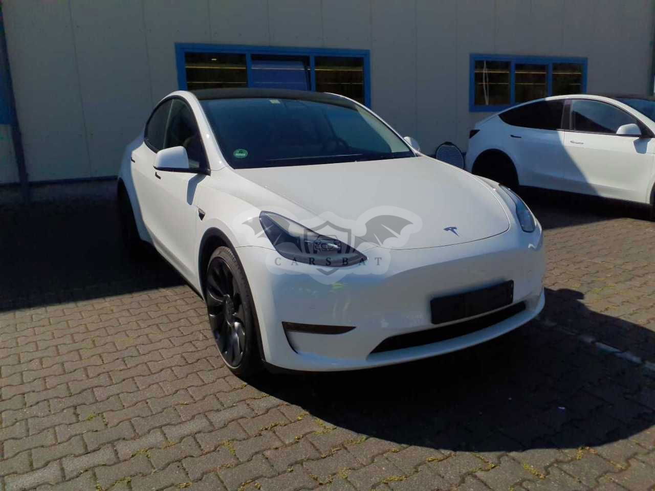Tesla Model Y Performance 2022