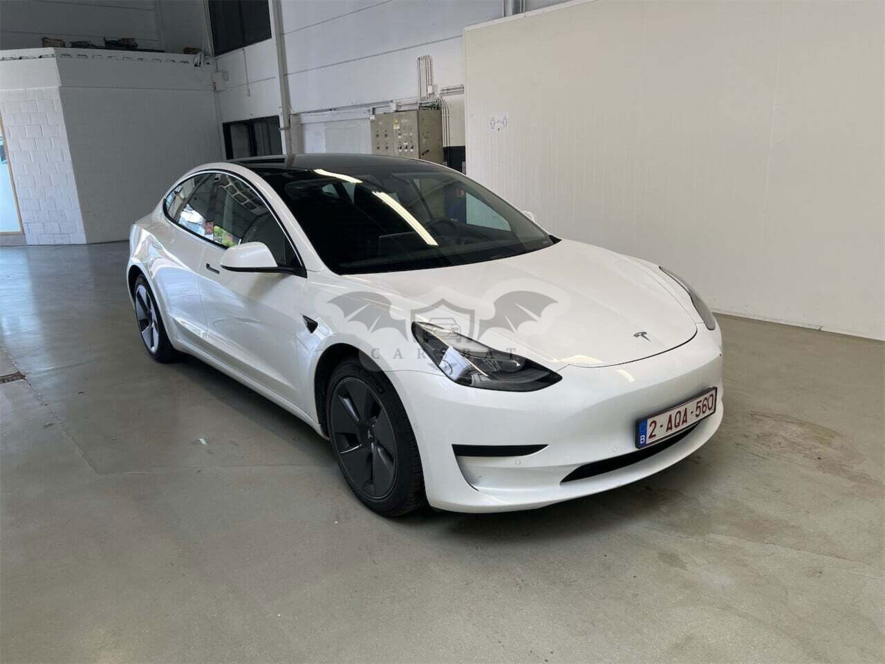 Tesla Model 3 Standard Range Plus 2021