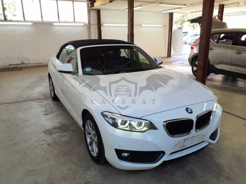 BMW 2 Series 218i Advantage 2021