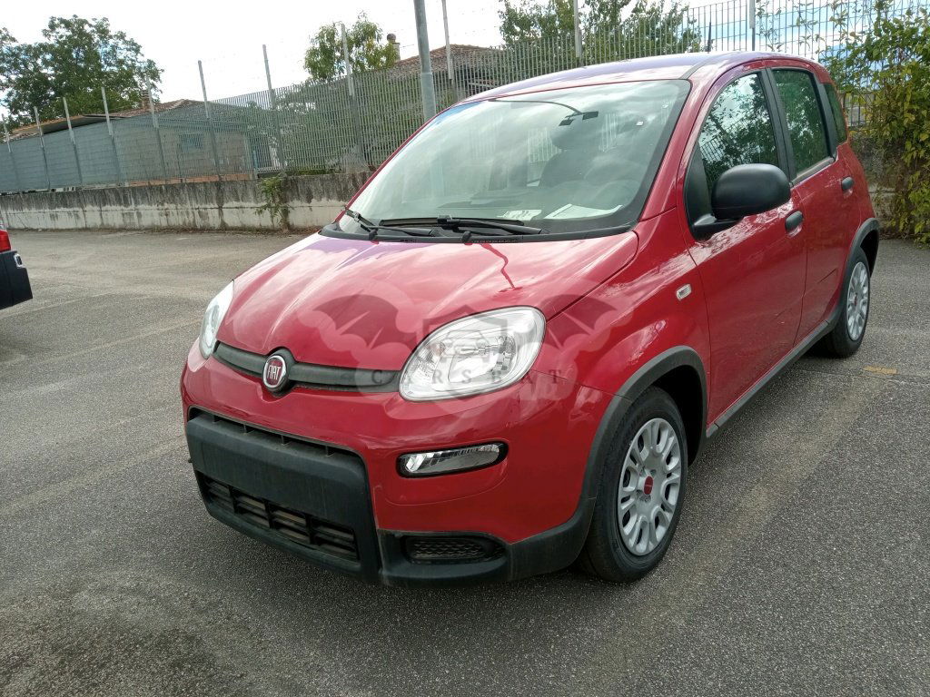 Fiat Panda 1.0 2024