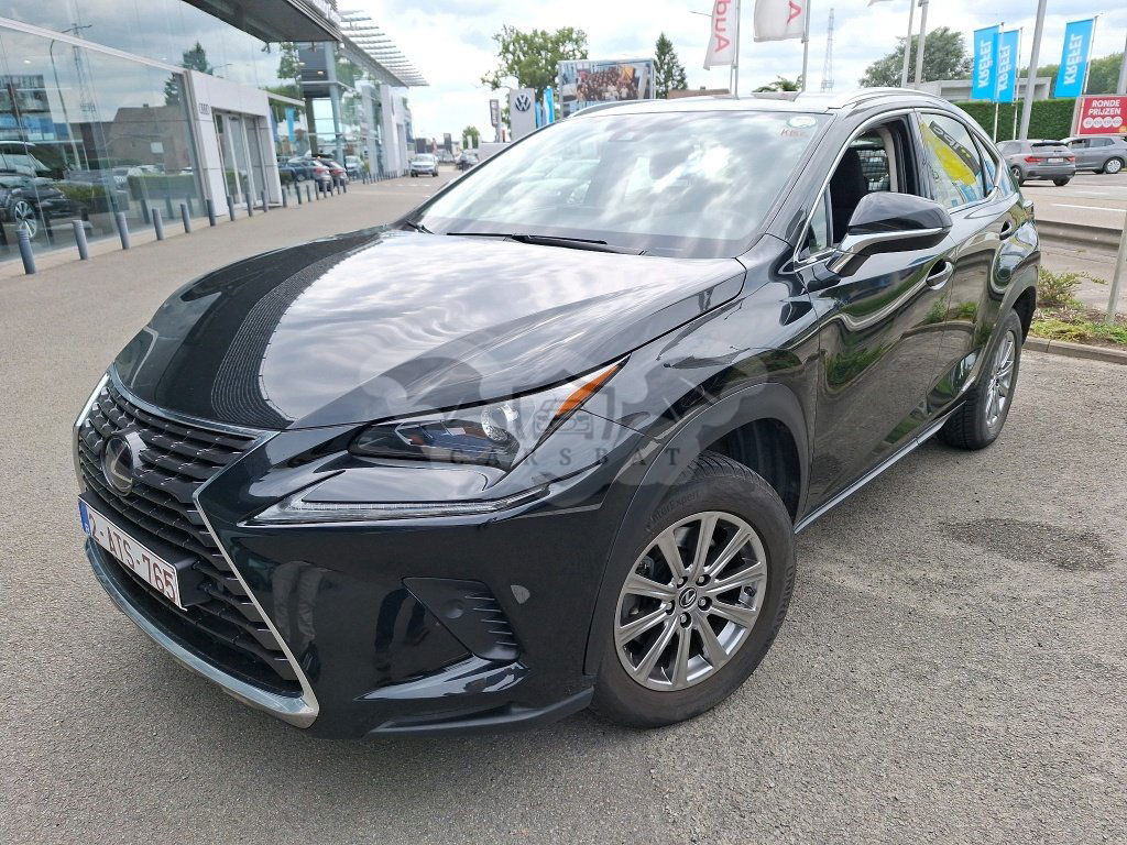 Lexus NX 300h Business 2021