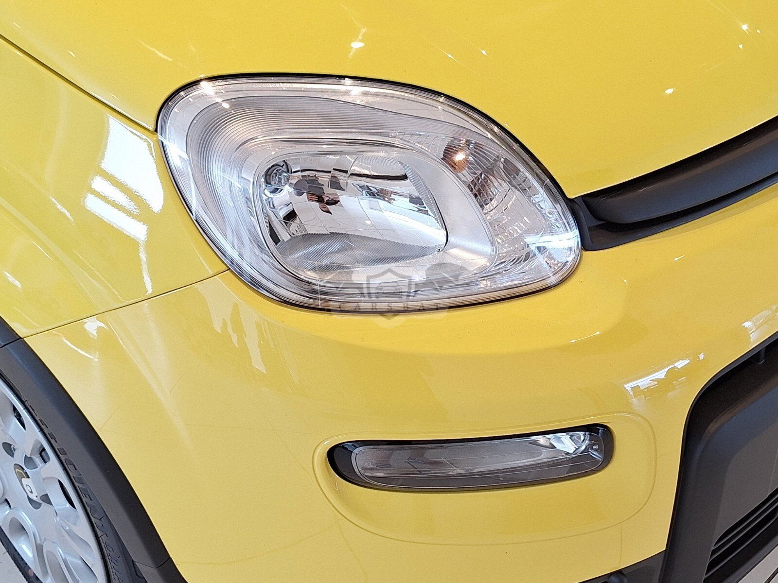 Fiat Panda 1.0 Icon 2024