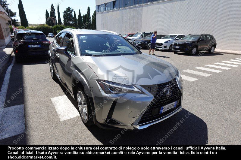 Lexus UX Business 2020