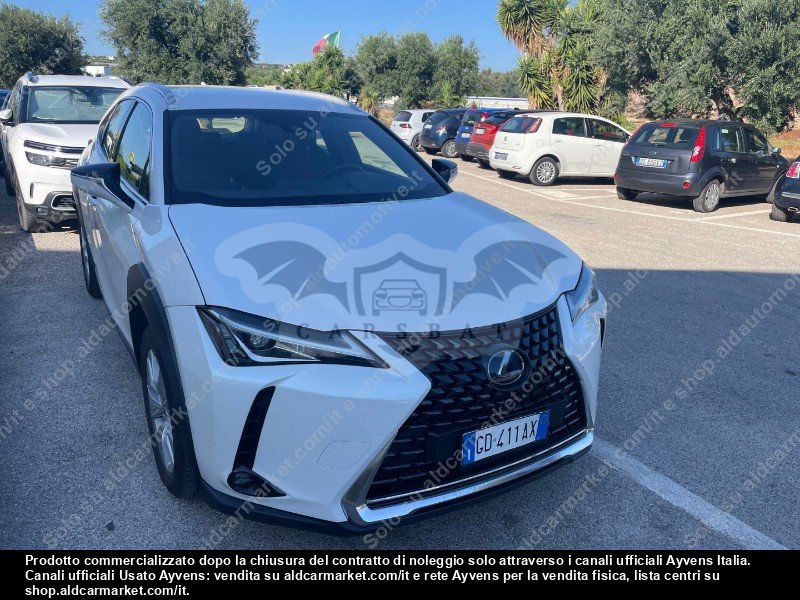 Lexus UX Business 2020