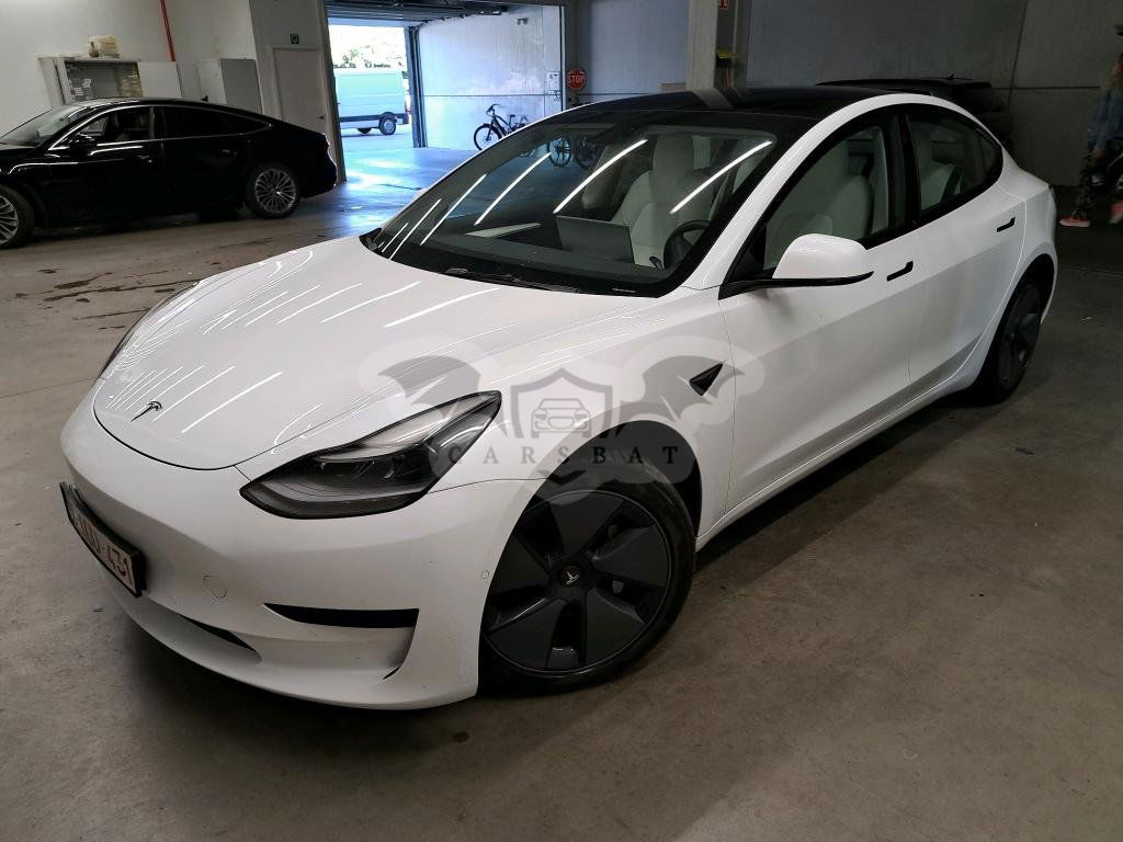 Tesla Model 3 Business 2021
