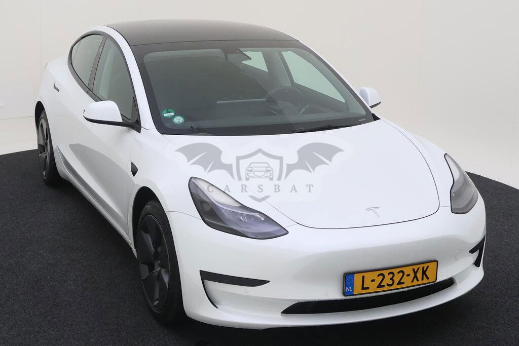 Tesla Model 3 Standard Range Plus 2021