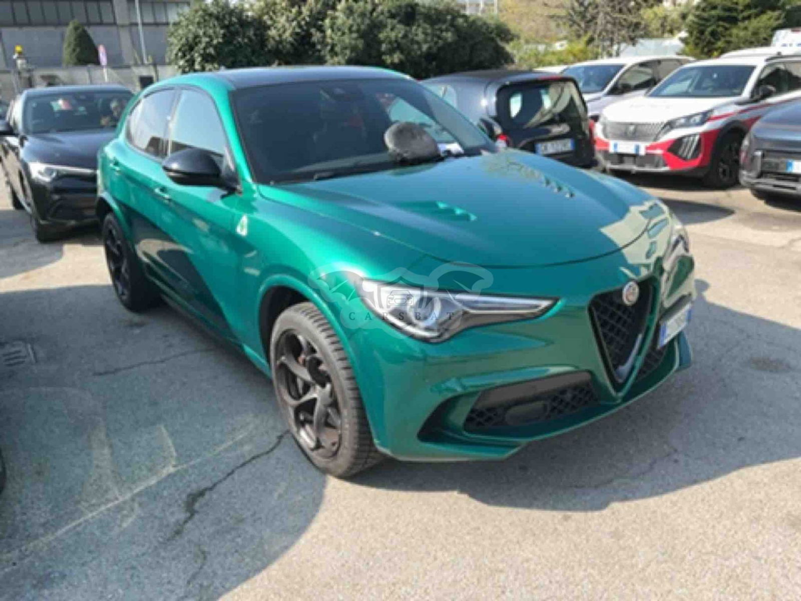 Alfa Romeo Stelvio 2.9 Quadrifoglio 2022