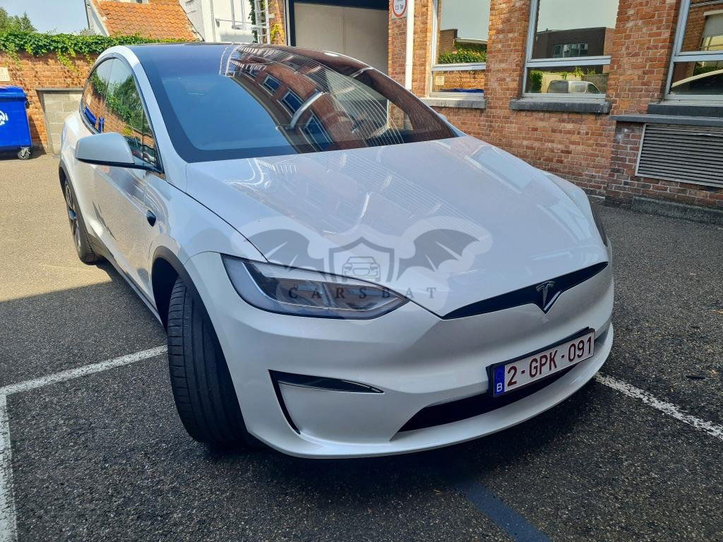 Tesla Model X Long Range 100 kWh 2025