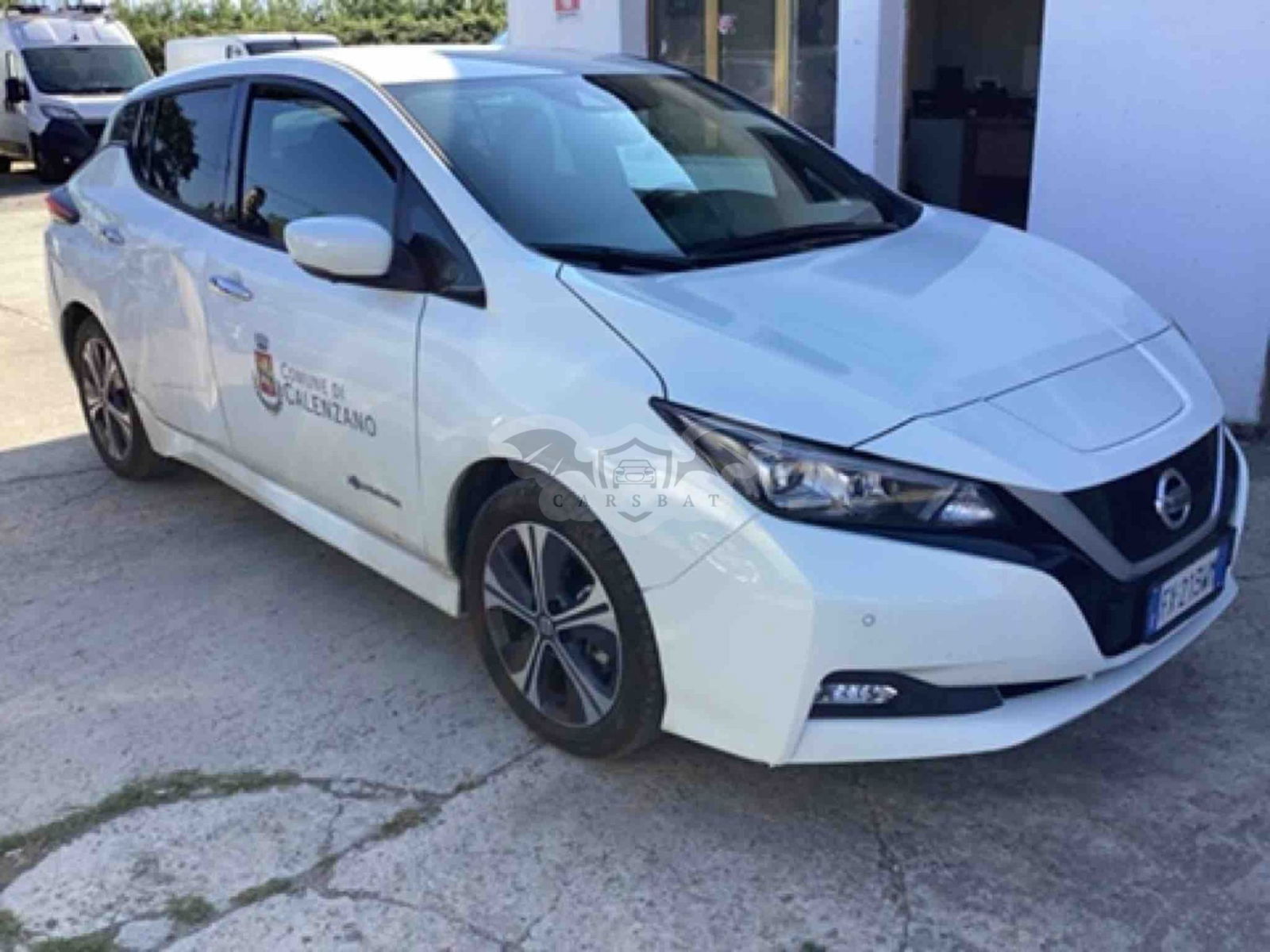 Nissan Leaf Business 2019