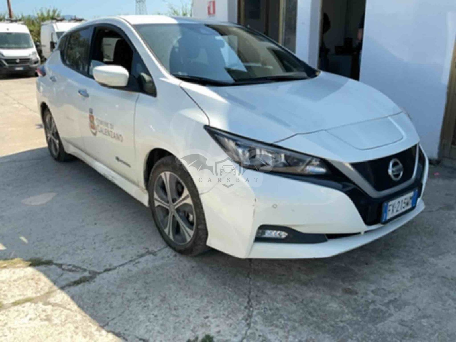 Nissan Leaf Business 2019