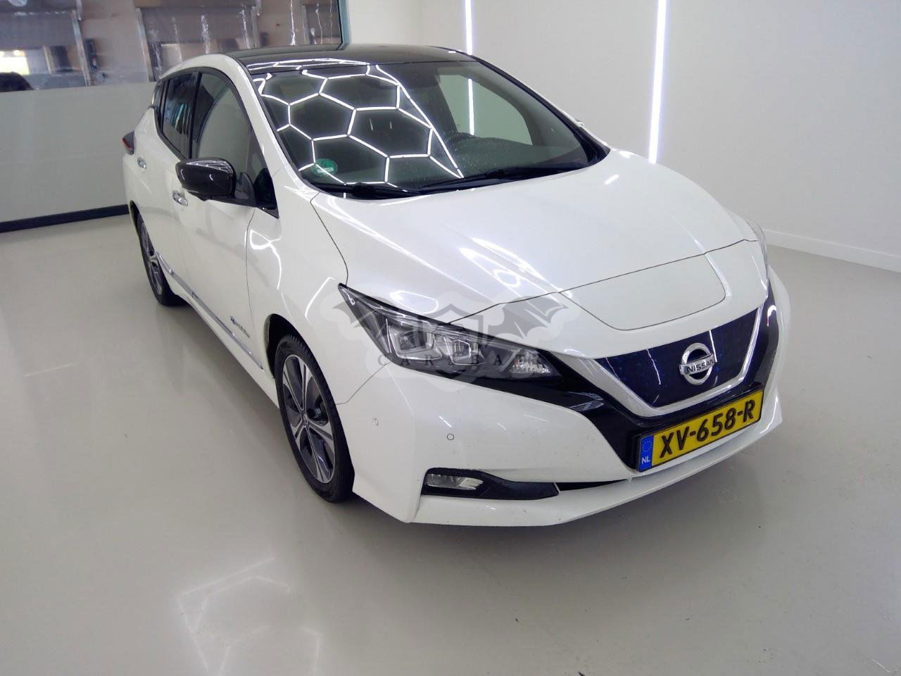 Nissan Leaf Tekna 2019