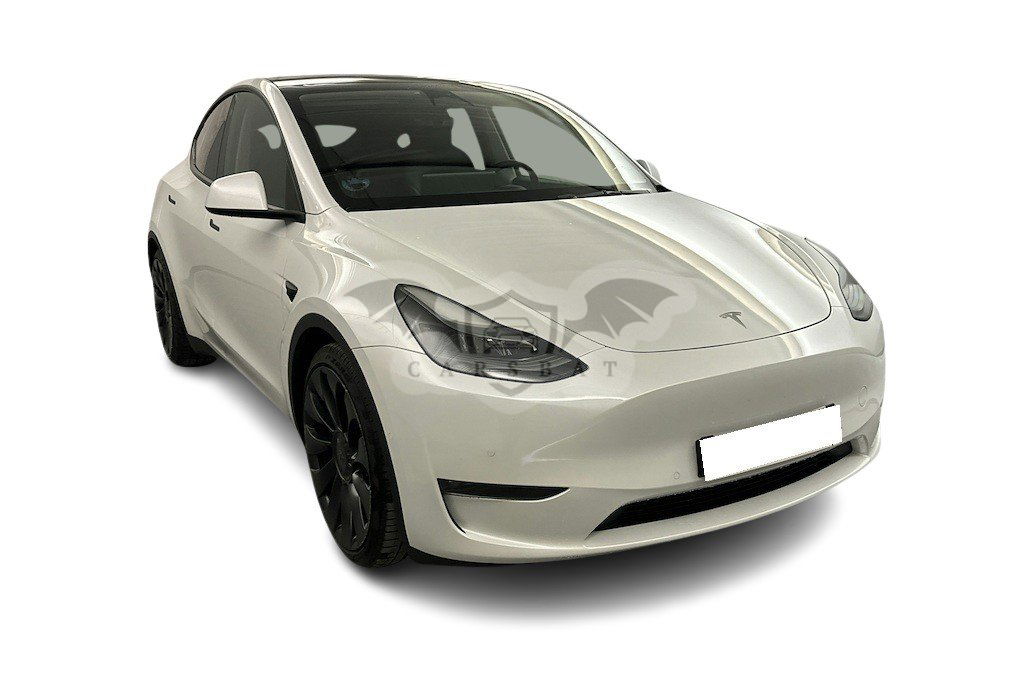 Tesla Model Y Performance 2021