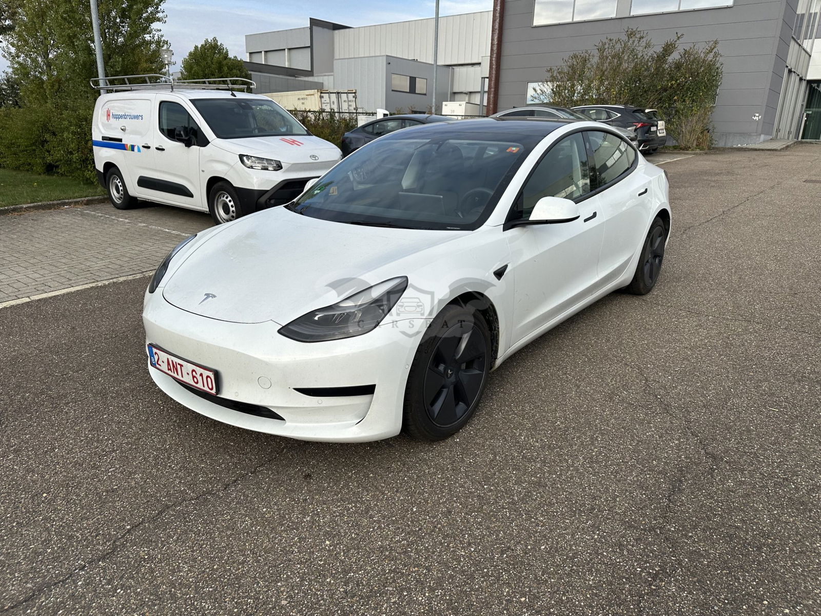 Tesla Model 3 2021