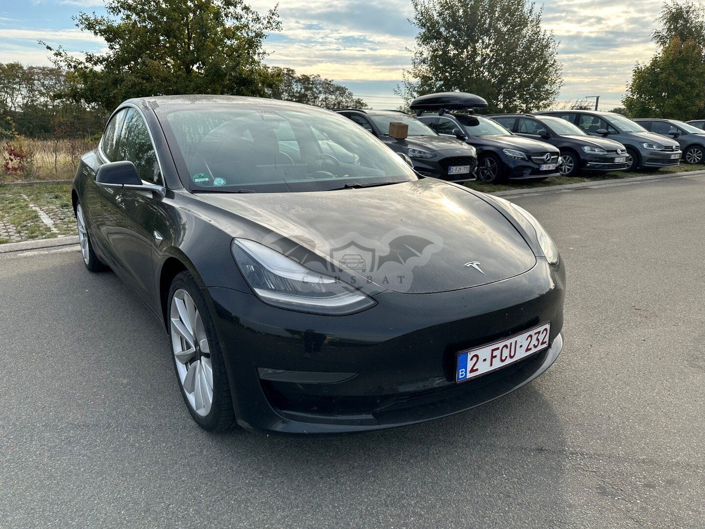 Tesla Model 3 Business 2020